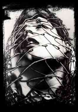 Caught in the net of civilisation